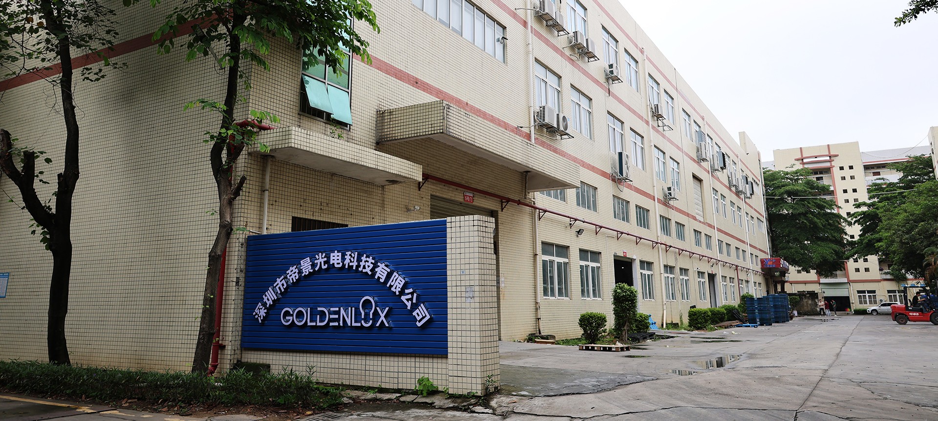 Goldenlux Appearance